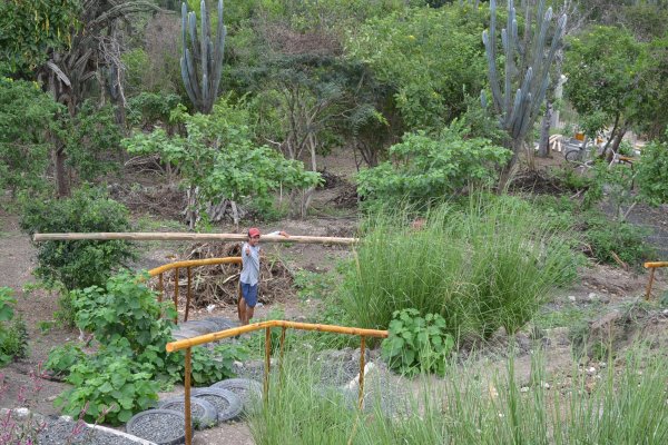 Carrying Bamboo to entrance gate